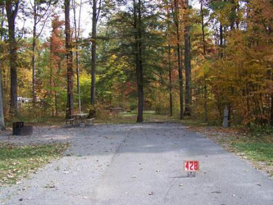 A paved, accessible path meanders through a tranquil forest with bare trees and fallen leaves. A picnic table, designed for easy access, is visible in the background, inviting visitors to enjoy a meal in nature. 