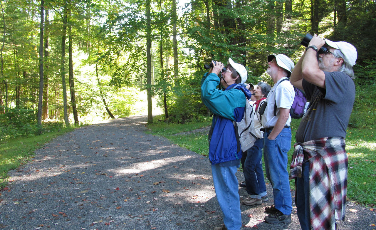 A group of seniors using binoculars to look for wildlife in the trees along a gravel path