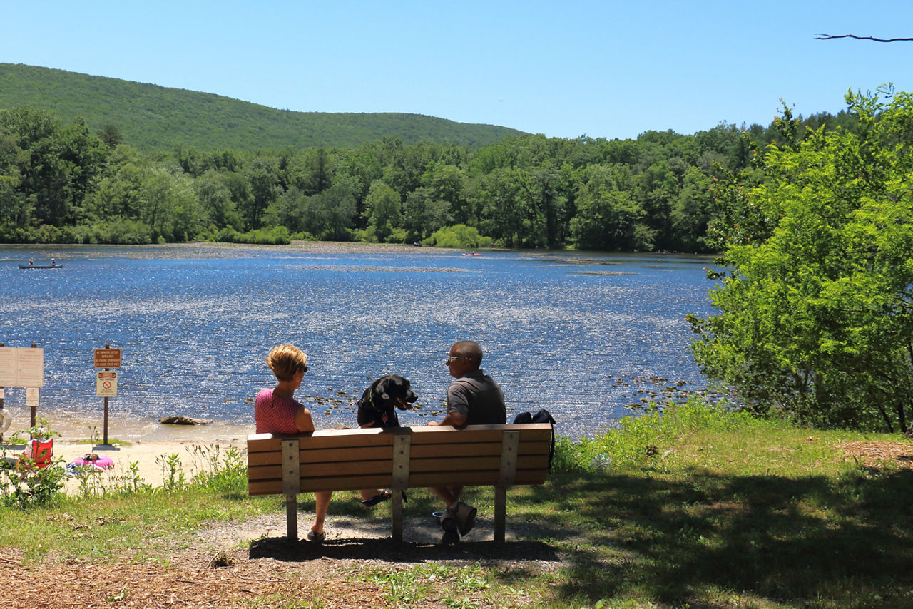 A couple and their dog sitting on a bench overlooking the blue waters of the lake which is surrounded by green forest