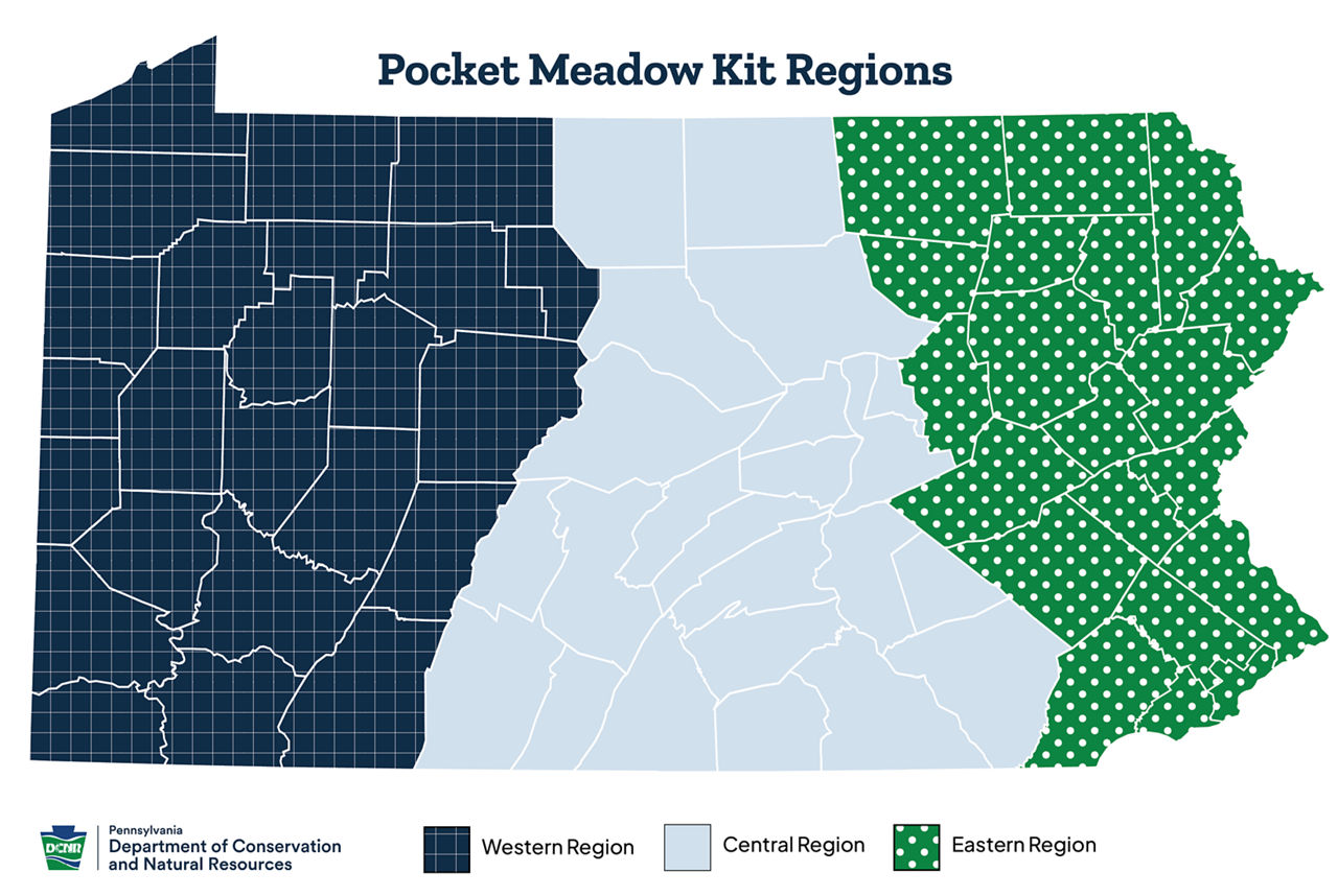 County-level map of Pennsylvania with Western, Central and Eastern regions outlined for Pocket Meadow Kits. 