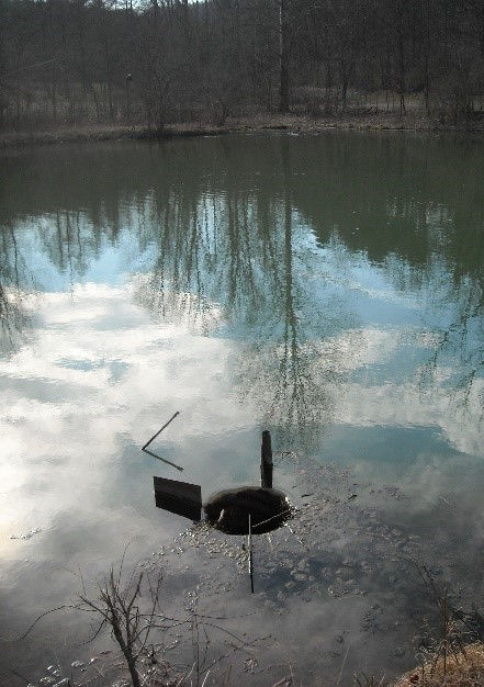 Pond