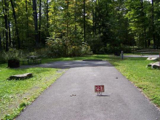 A paved, accessible path meanders through a tranquil forest with bare trees and fallen leaves. A picnic table, designed for easy access, is visible in the background, inviting visitors to enjoy a meal in nature. 