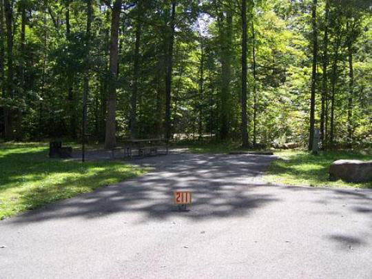 A paved, accessible path meanders through a tranquil forest with bare trees and fallen leaves. A picnic table, designed for easy access, is visible in the background, inviting visitors to enjoy a meal in nature. 