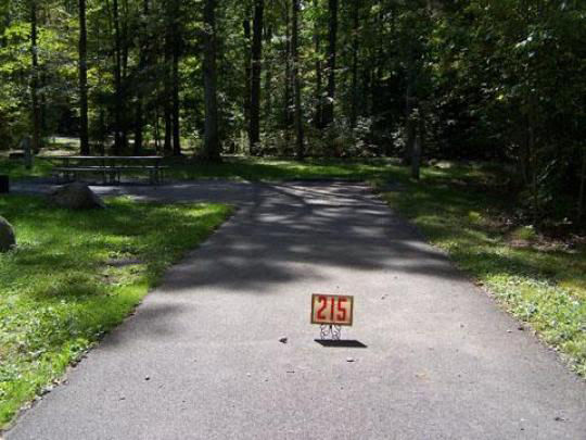A paved, accessible path meanders through a tranquil forest with bare trees and fallen leaves. A picnic table, designed for easy access, is visible in the background, inviting visitors to enjoy a meal in nature. 