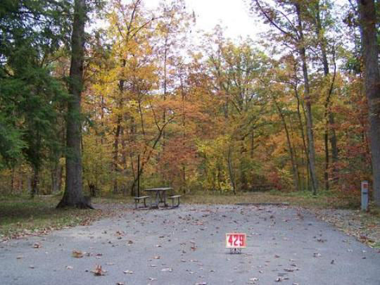 A paved, accessible path meanders through a tranquil forest with bare trees and fallen leaves. A picnic table, designed for easy access, is visible in the background, inviting visitors to enjoy a meal in nature. 