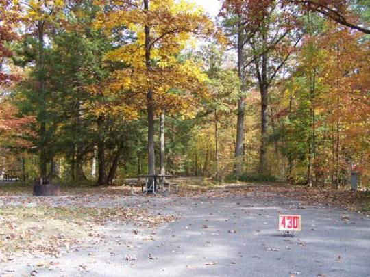 A paved, accessible path meanders through a tranquil forest with bare trees and fallen leaves. A picnic table, designed for easy access, is visible in the background, inviting visitors to enjoy a meal in nature. 