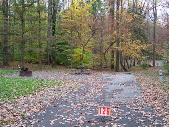 A paved, accessible path meanders through a tranquil forest with bare trees and fallen leaves. A picnic table, designed for easy access, is visible in the background, inviting visitors to enjoy a meal in nature. 