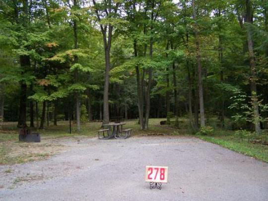 A paved, accessible path meanders through a tranquil forest with bare trees and fallen leaves. A picnic table, designed for easy access, is visible in the background, inviting visitors to enjoy a meal in nature. 