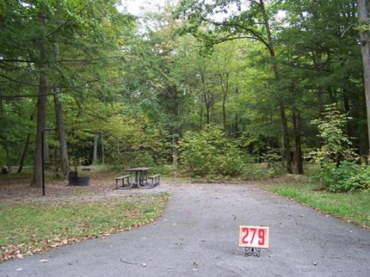 A paved, accessible path meanders through a tranquil forest with bare trees and fallen leaves. A picnic table, designed for easy access, is visible in the background, inviting visitors to enjoy a meal in nature. 