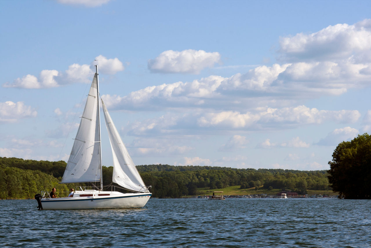 A sailboat in the blue waters of the lake with a forest in the background