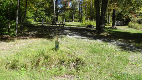 A gravel, accessible path meanders through a tranquil forest with bare trees and fallen leaves. A picnic table, designed for easy access, is visible in the background, inviting visitors to enjoy a meal in nature. 