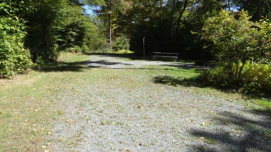 A gravel, accessible path meanders through a tranquil forest with bare trees and fallen leaves. A picnic table, designed for easy access, is visible in the background, inviting visitors to enjoy a meal in nature. 