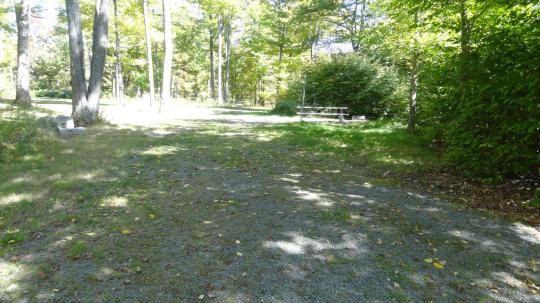 A gravel, accessible path meanders through a tranquil forest with bare trees and fallen leaves. A picnic table, designed for easy access, is visible in the background, inviting visitors to enjoy a meal in nature. 