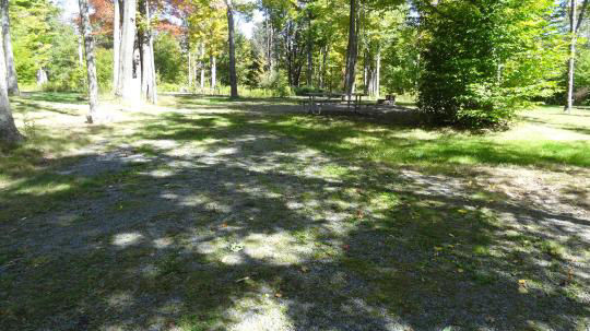 A gravel, accessible path meanders through a tranquil forest with bare trees and fallen leaves. A picnic table, designed for easy access, is visible in the background, inviting visitors to enjoy a meal in nature. 