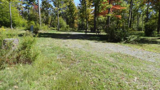 A gravel, accessible path meanders through a tranquil forest with bare trees and fallen leaves. A picnic table, designed for easy access, is visible in the background, inviting visitors to enjoy a meal in nature. 