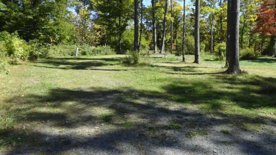 A gravel, accessible path meanders through a tranquil forest with bare trees and fallen leaves. A picnic table, designed for easy access, is visible in the background, inviting visitors to enjoy a meal in nature. 