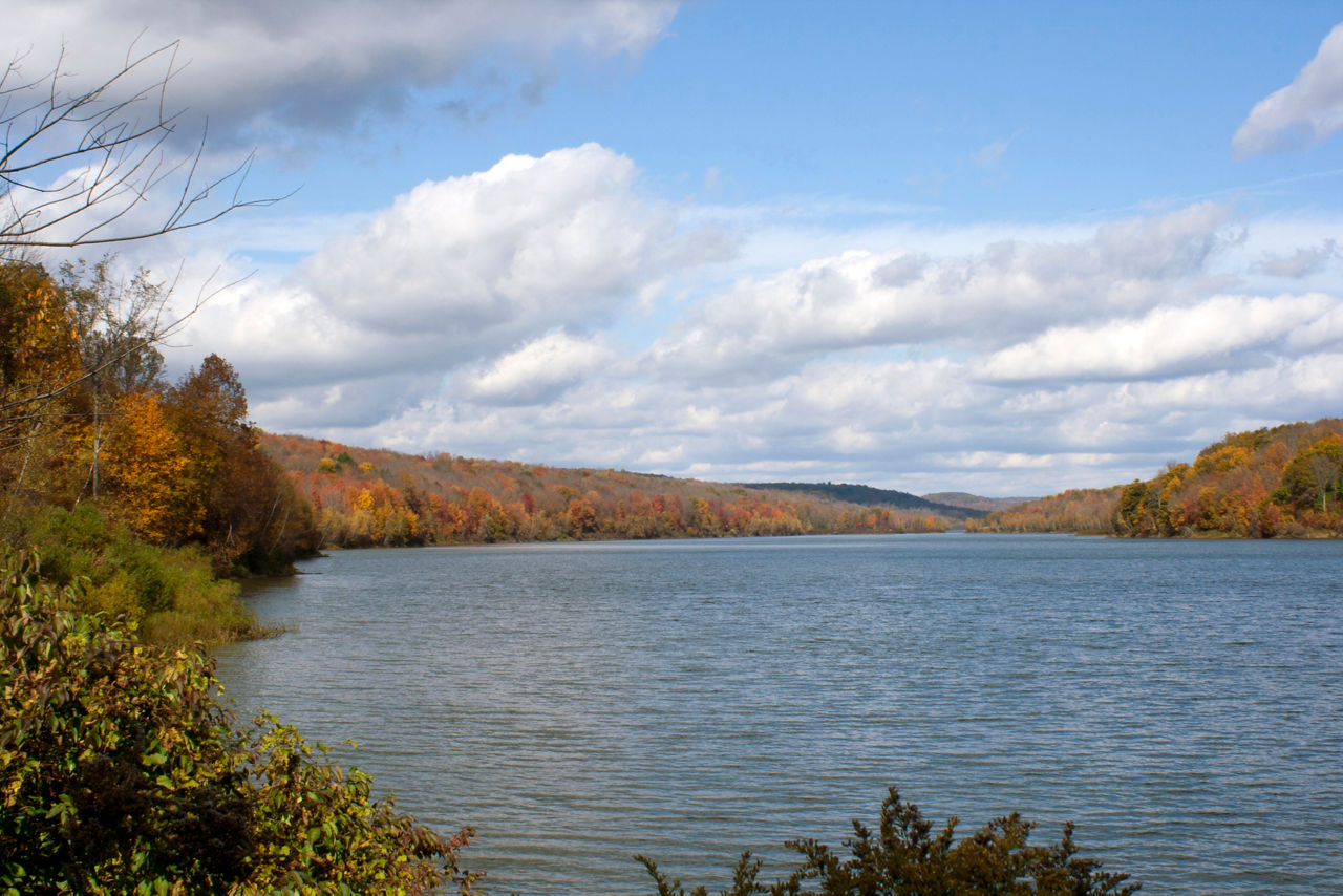 A lake surrounded by forest with golden fall colors