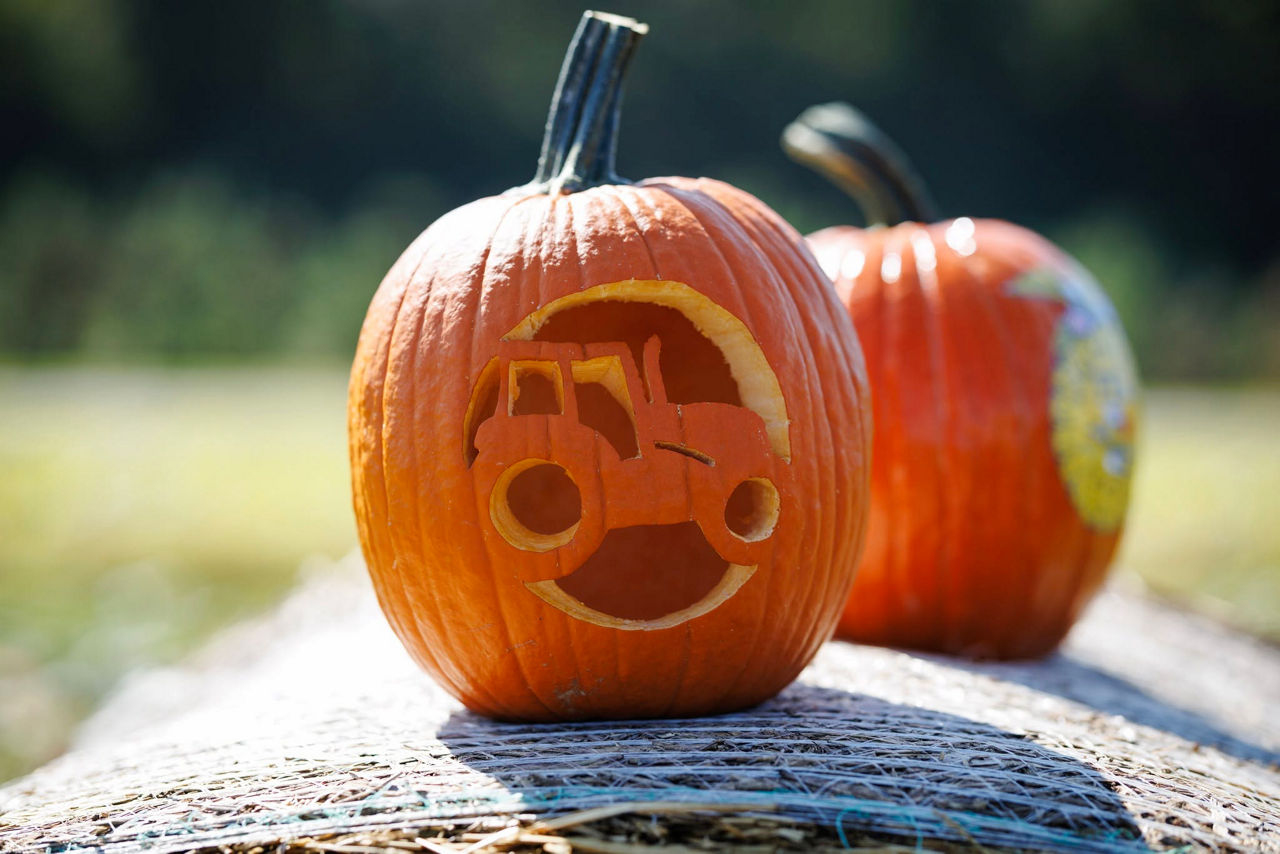 Pumpkin contest