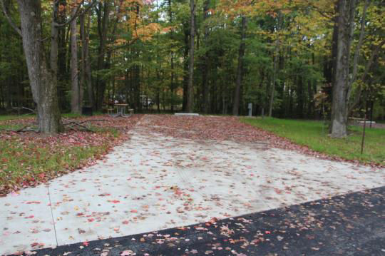 A paved, accessible path meanders through a tranquil forest with bare trees and fallen leaves. A picnic table, designed for easy access, is visible in the background, inviting visitors to enjoy a meal in nature. 