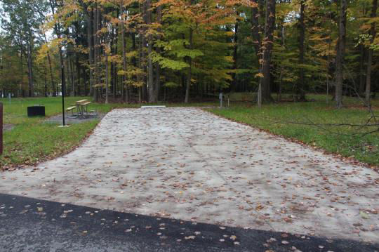 A paved, accessible path meanders through a tranquil forest with bare trees and fallen leaves. A picnic table, designed for easy access, is visible in the background, inviting visitors to enjoy a meal in nature. 