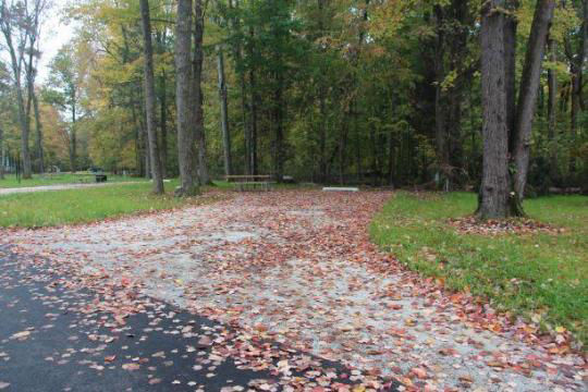 A paved, accessible path meanders through a tranquil forest with bare trees and fallen leaves. A picnic table, designed for easy access, is visible in the background, inviting visitors to enjoy a meal in nature. 