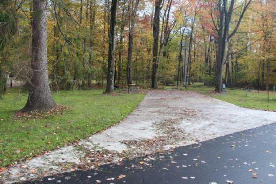 A paved, accessible path meanders through a tranquil forest with bare trees and fallen leaves. A picnic table, designed for easy access, is visible in the background, inviting visitors to enjoy a meal in nature. 