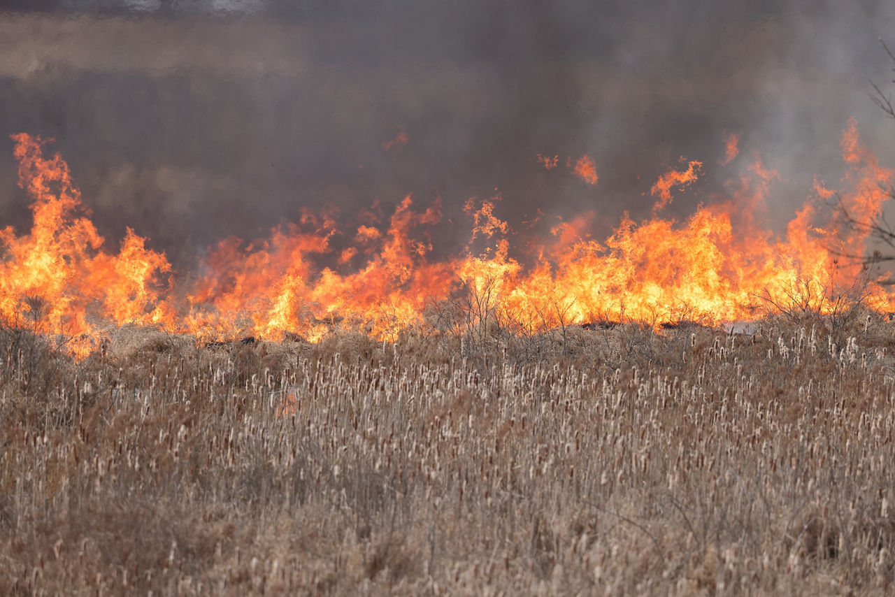 Fire burning a field 