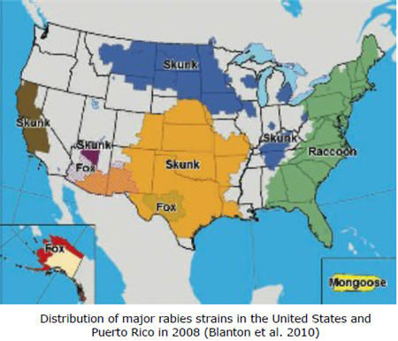 distribution