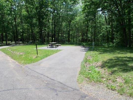 A paved, accessible path meanders through a tranquil forest with bare trees and fallen leaves. A picnic table, designed for easy access, is visible in the background, inviting visitors to enjoy a meal in nature. 