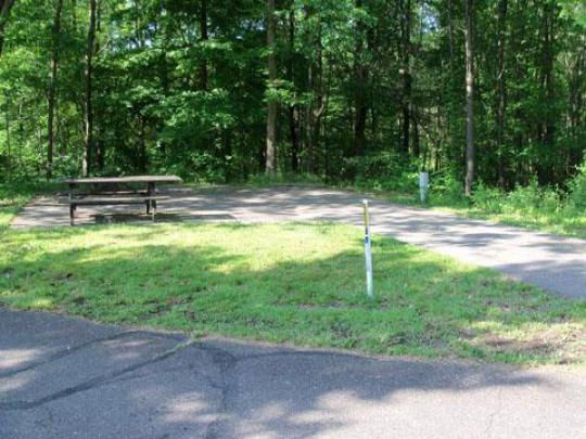 A paved, accessible path meanders through a tranquil forest with bare trees and fallen leaves. A picnic table, designed for easy access, is visible in the background, inviting visitors to enjoy a meal in nature. 