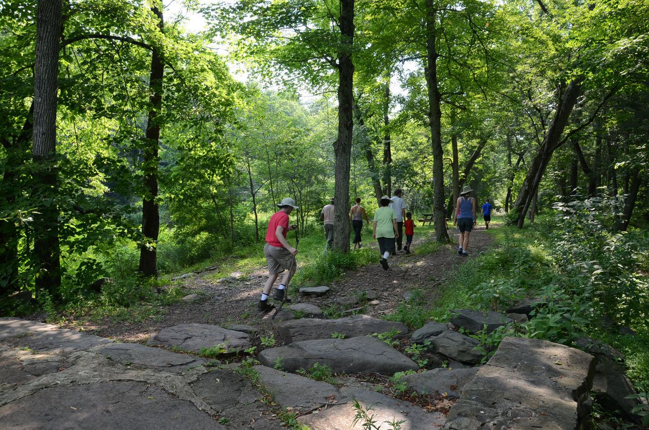 Hikers climbing up a rocky path under lush green trees