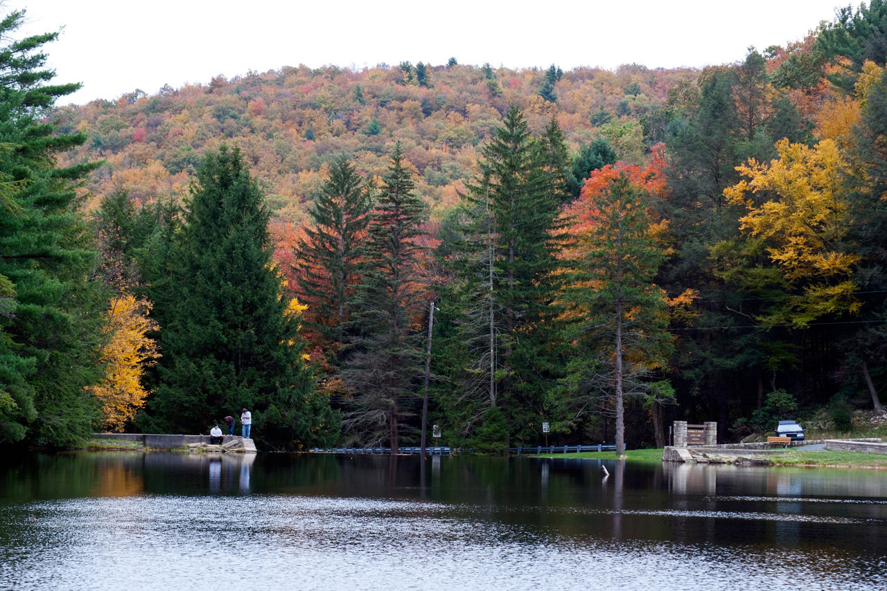 A lake surrounded by forest with golden fall colors and pine trees