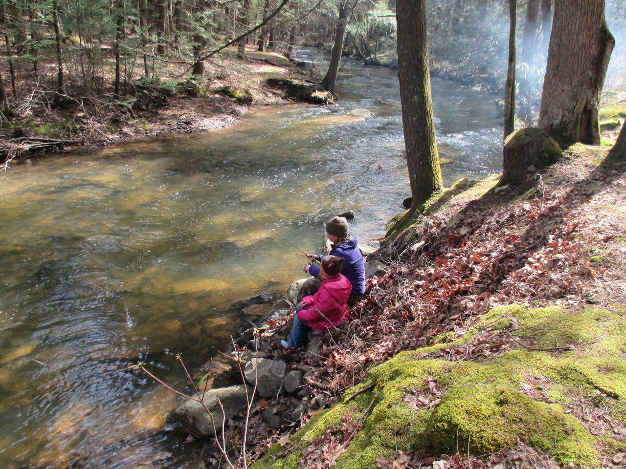 Two people sitting on the bank of a stream among fallen fall leaves