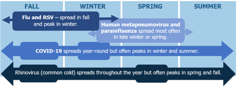 Respiratory virus timeline