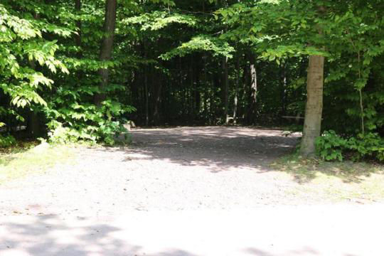 A gravel, accessible path meanders through a tranquil forest with bare trees and fallen leaves. A picnic table, designed for easy access, is visible in the background, inviting visitors to enjoy a meal in nature. 