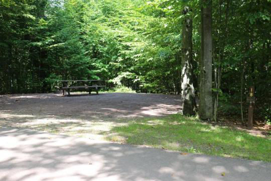 A gravel, accessible path meanders through a tranquil forest with bare trees and fallen leaves. A picnic table, designed for easy access, is visible in the background, inviting visitors to enjoy a meal in nature. 