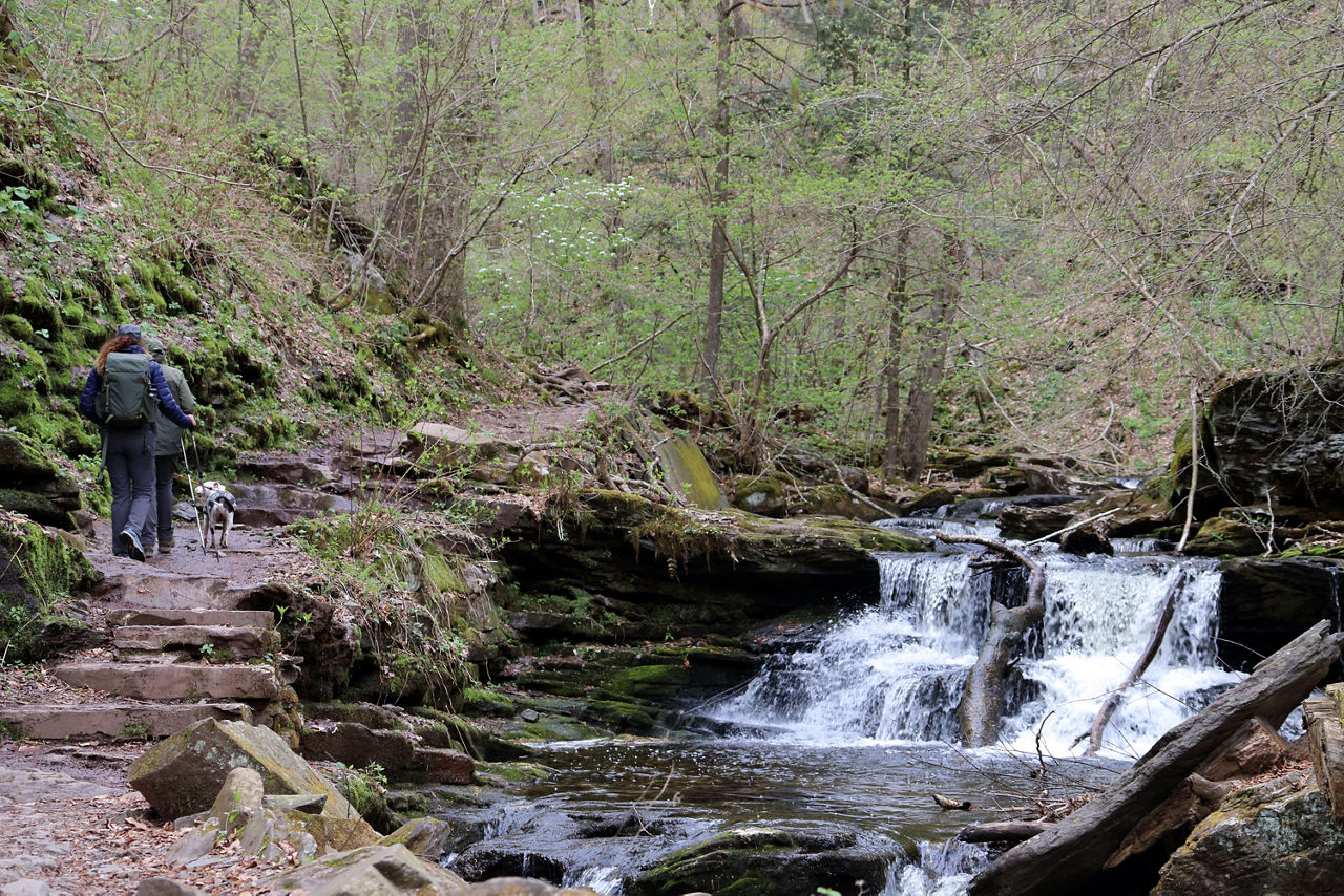 A couple hiking on a rocky trail along a stream with a cascading waterfall