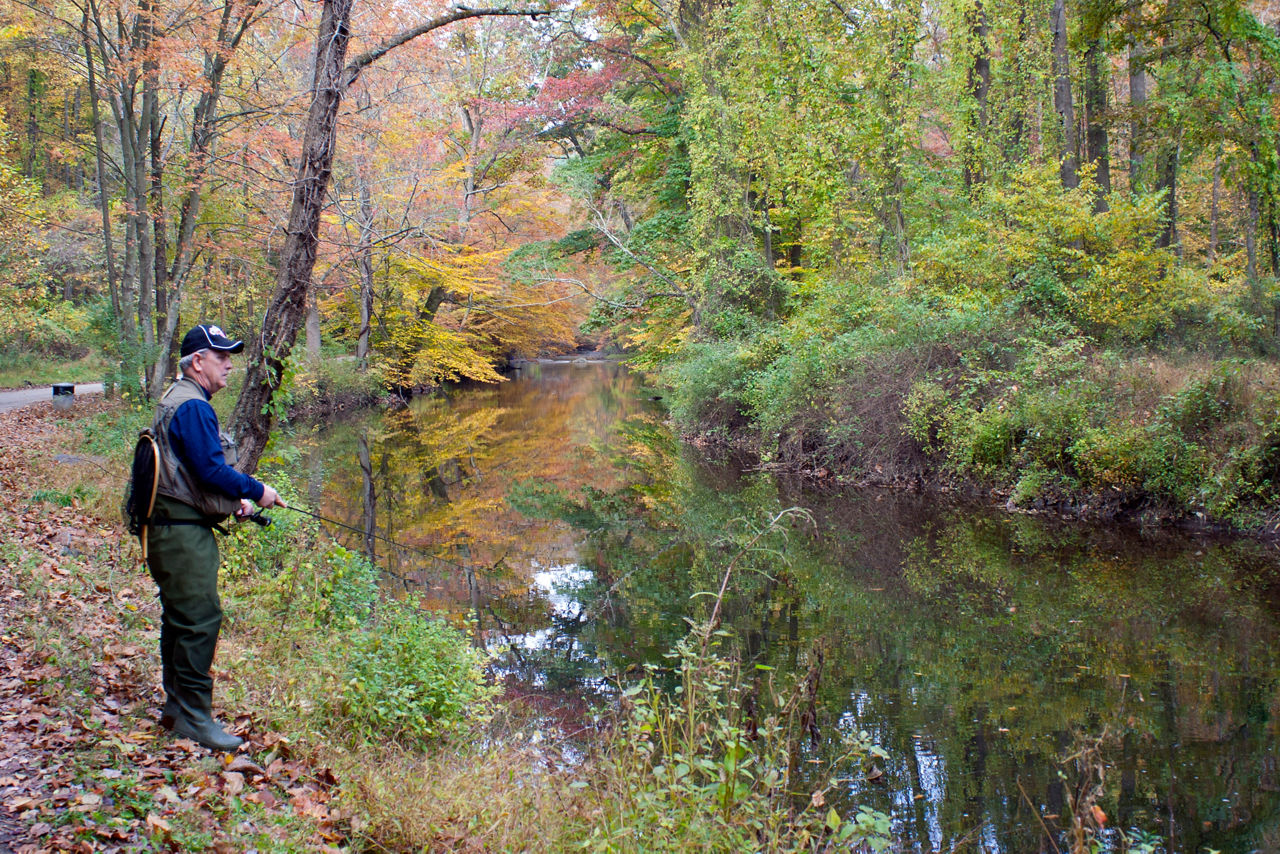 A fisherman on the side of a stream surrounded by forest with fall colored leaves