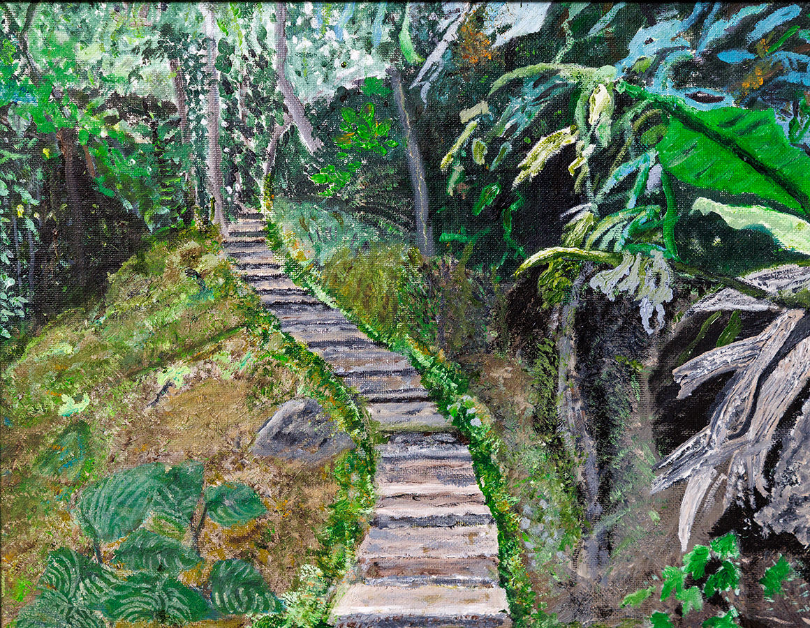 Jungle scene showing a path