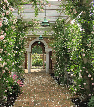 Rose Gardens at The Residence