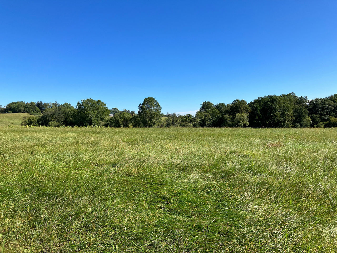 Rolling green hills with blue sky and trees visible in the background.