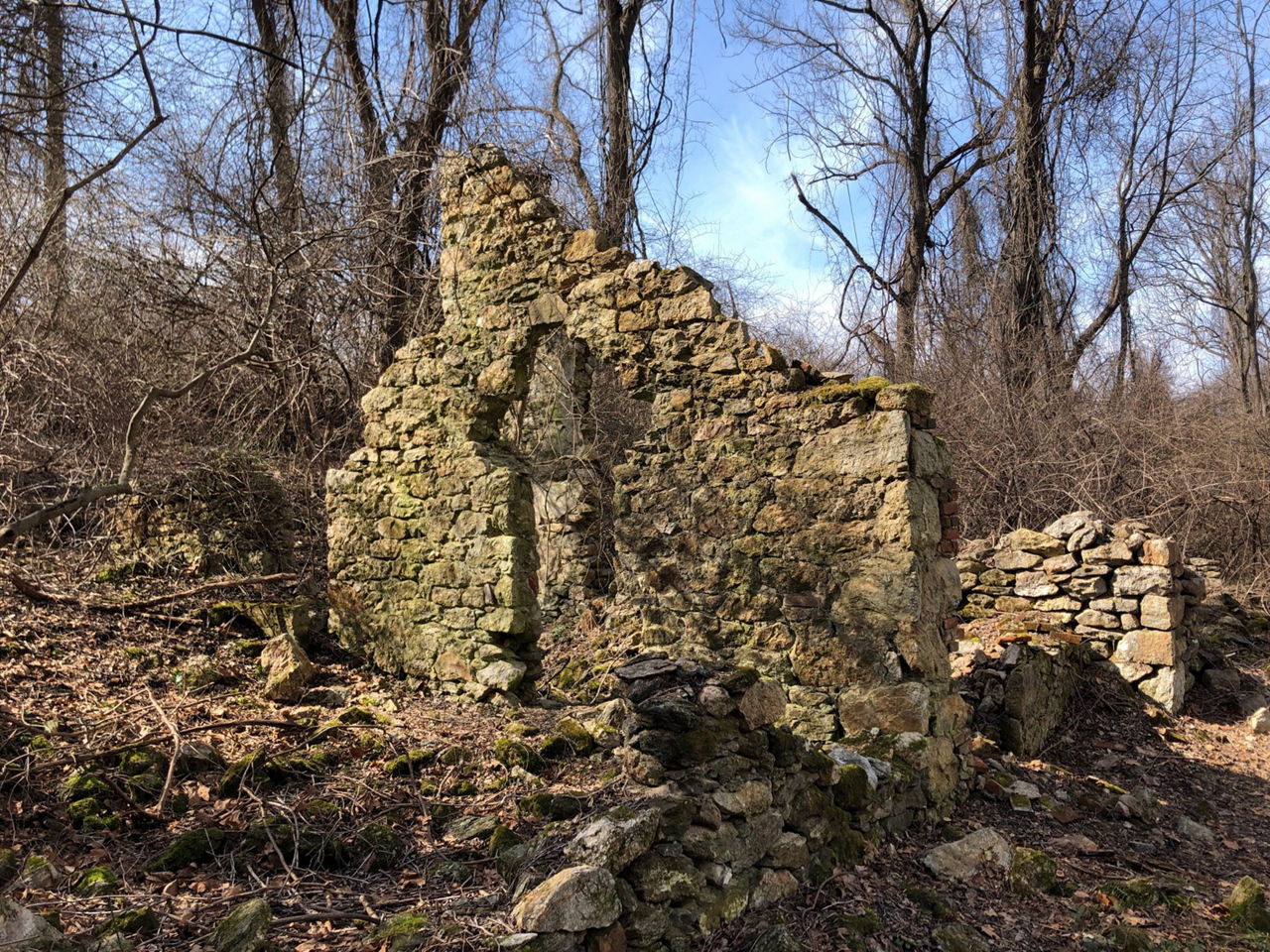 Stone ruins of a previous building, surrounded by trees.