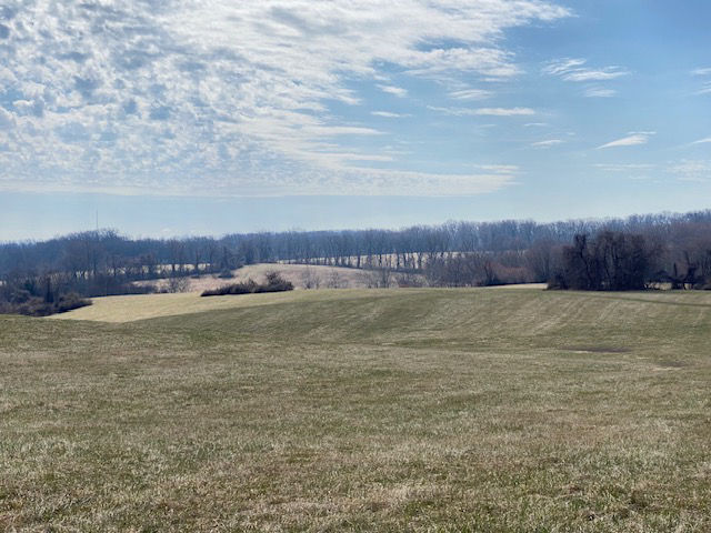 Rolling green hills with blue sky and trees visible in the background.