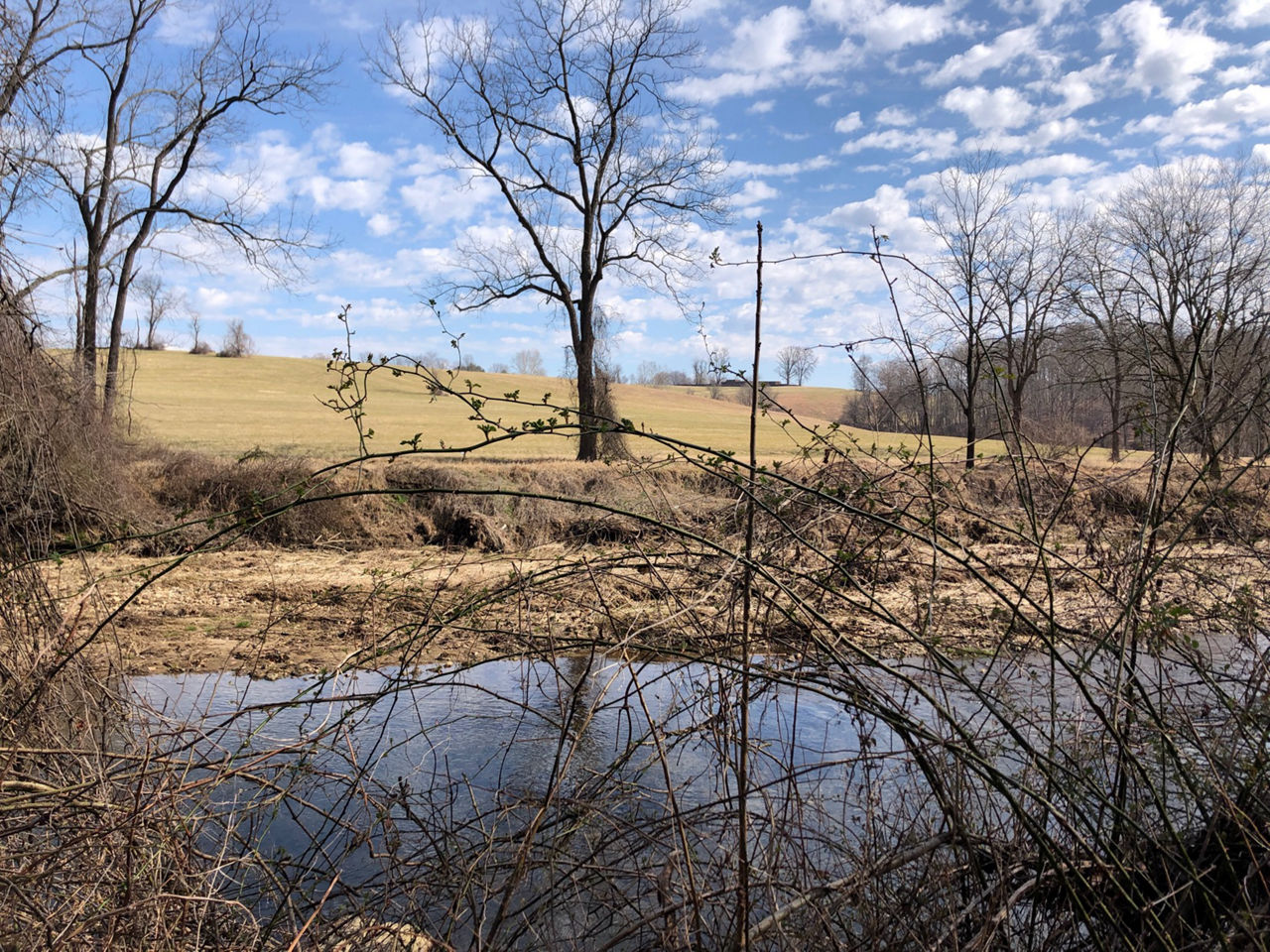 Rolling green hills with a creek running through them and blue sky and trees visible in the background.