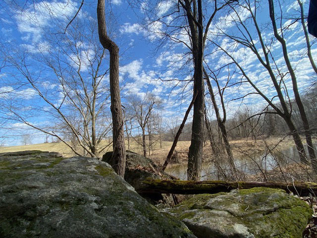 Fields of yellow grass surround a rocky creek with a blue sky and trees in the background.