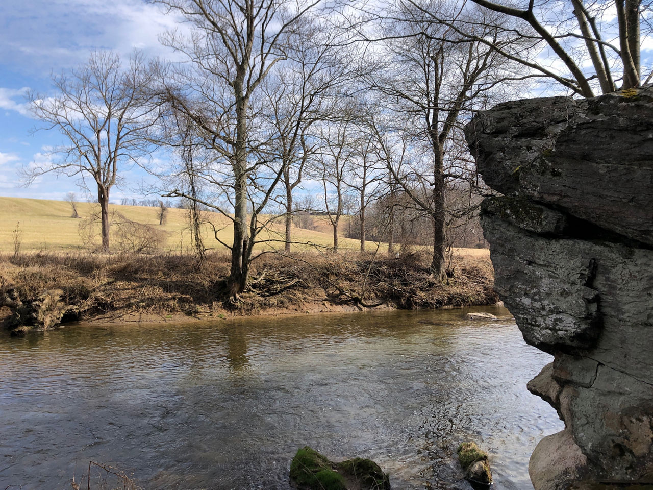 Fields of yellow grass surround a rocky creek with a blue sky and trees in the background.
