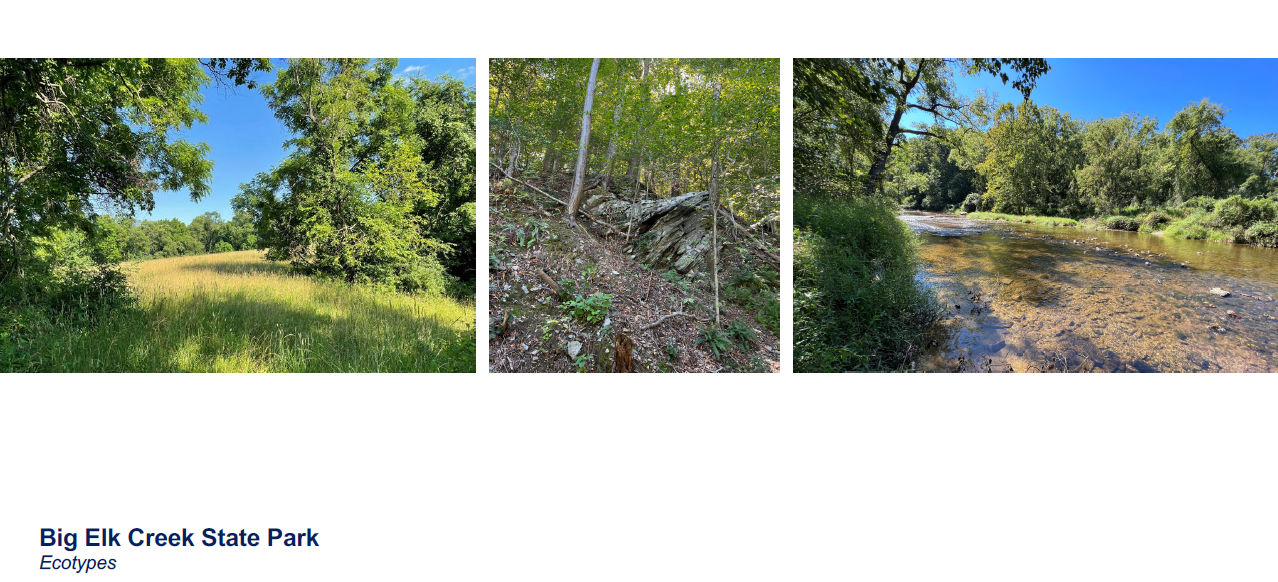 Examples of ecotypes found at Big Elk Creek State Park