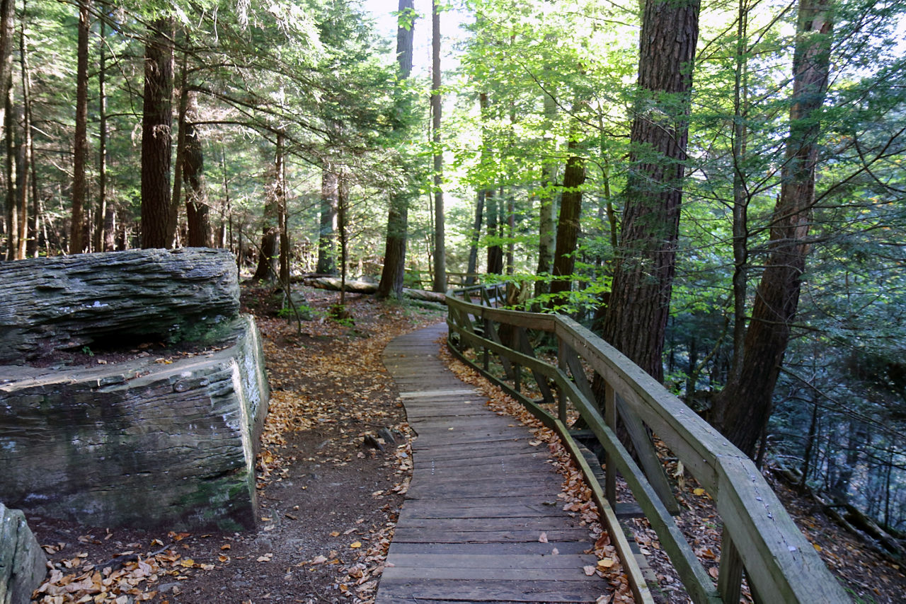 A trail passing by large rocks with shady trees overhead