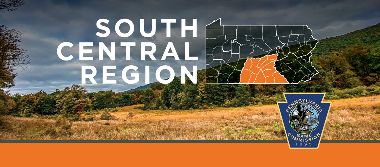 southcentral region cover photo