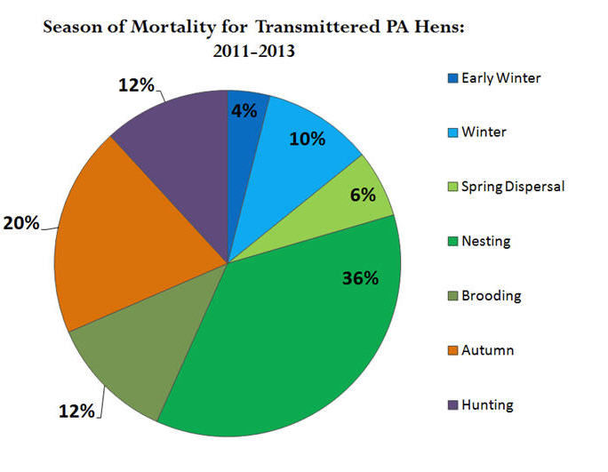 Seasonal Mortality for Transmittered PA Hens 2011-2013
